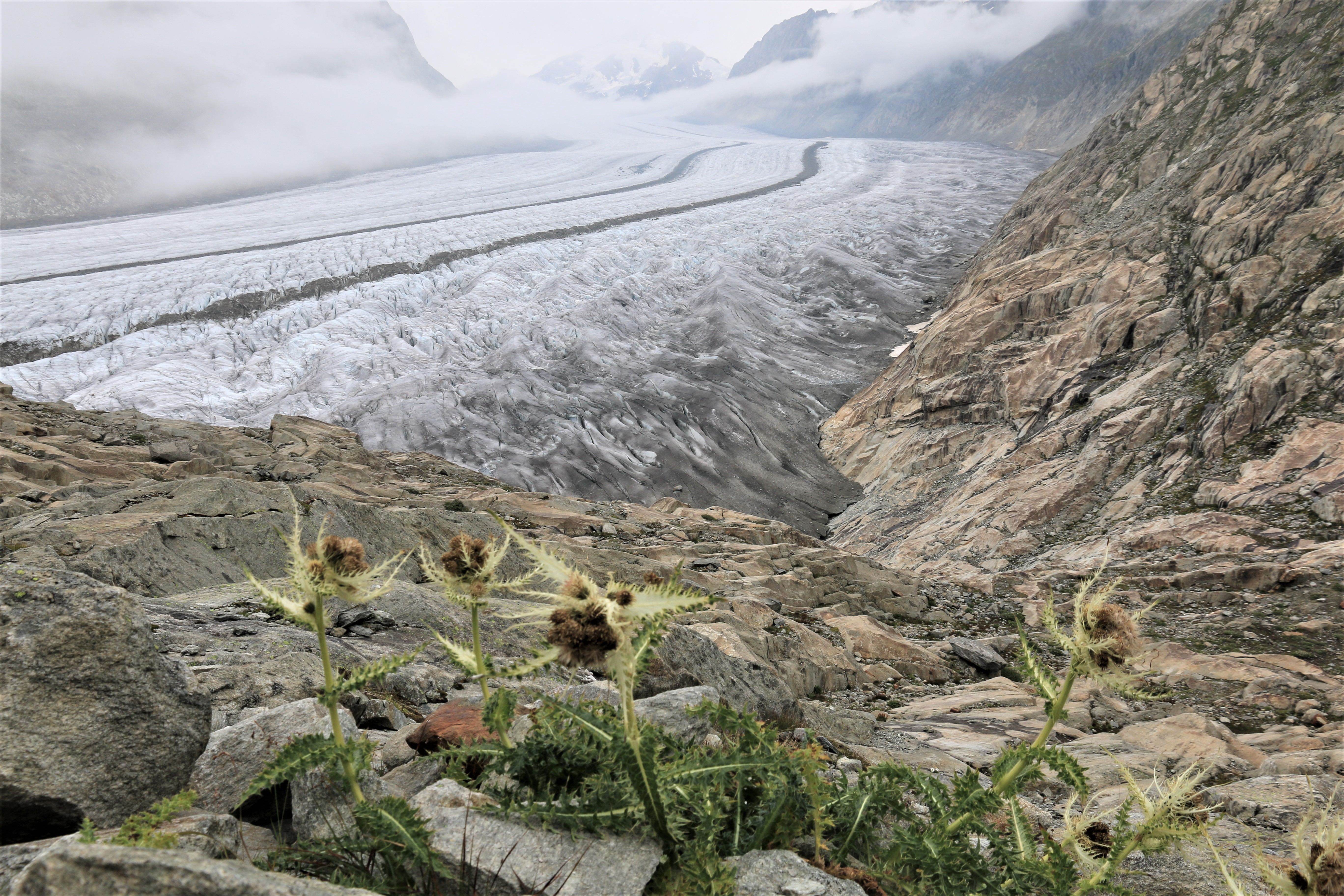 Aletsch Glacier